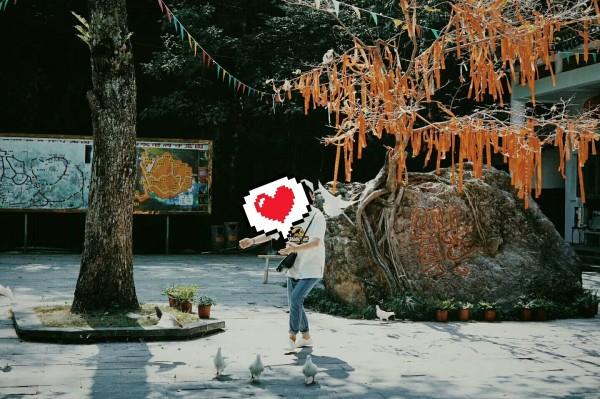 奥斯卡红毯秀